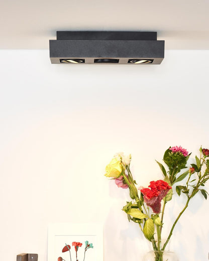 Plafondspot Xirax zwart 3-lichts incl. Led