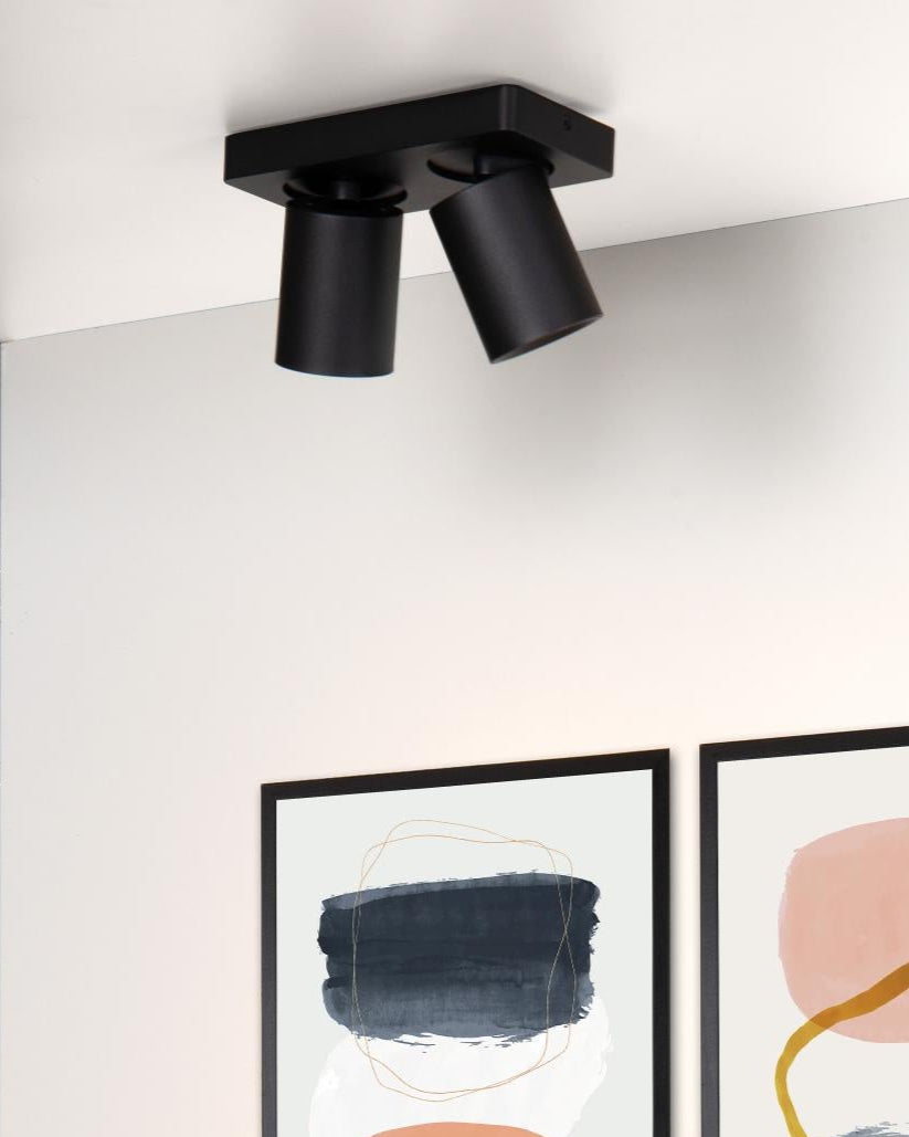 Plafondspot Nigel 2-lichts zwart incl. Led