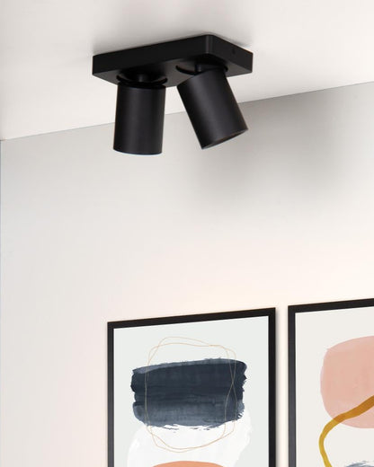 Plafondspot Nigel 2-lichts zwart incl. Led