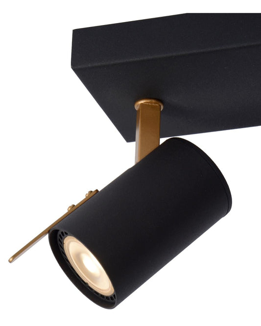 Plafondspot Grony 2-lichts zwart-goud incl.LED