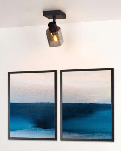 Plafondspot Alion smoke E14