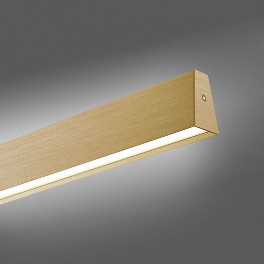 Neuhaus E-Lift
