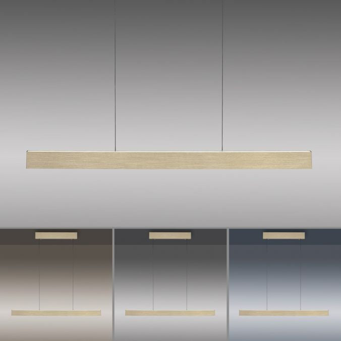 Neuhaus E-Lift