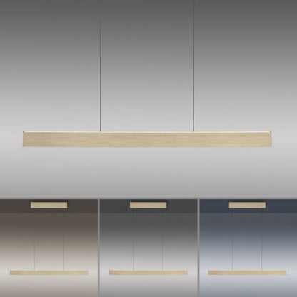 Neuhaus E-Lift