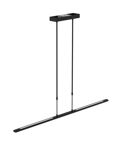 Hanglamp Zelena zwart 122cm