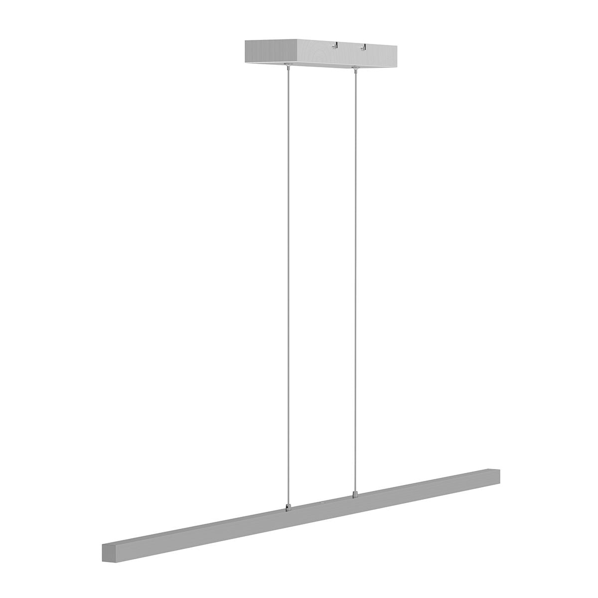 2745ST Minimalistische stalen hanglamp Danske  2000 Lumen