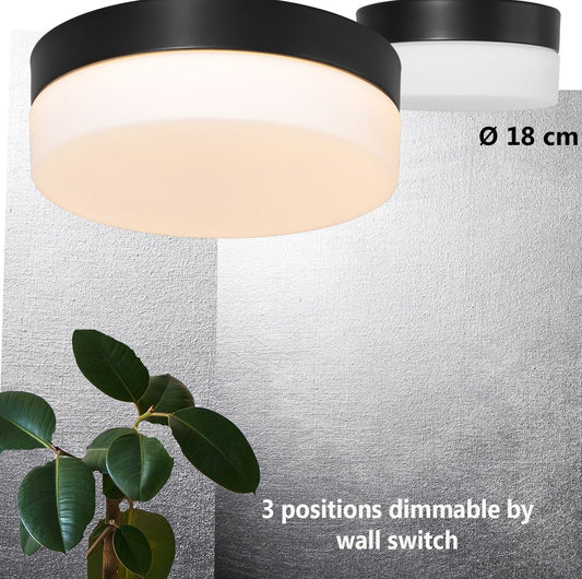 1362ZW Plafondlamp Ikaro  Zwart Ã18cm met 4 standen dimmer