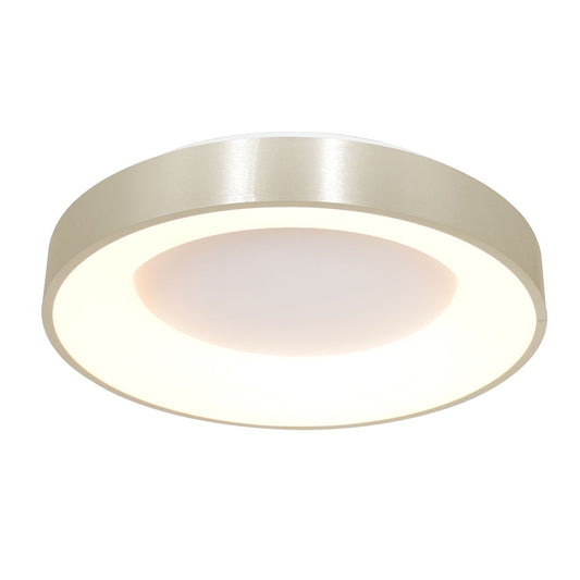 2562ZI Plafondlamp Ringlede  Zilver Ã38cm
