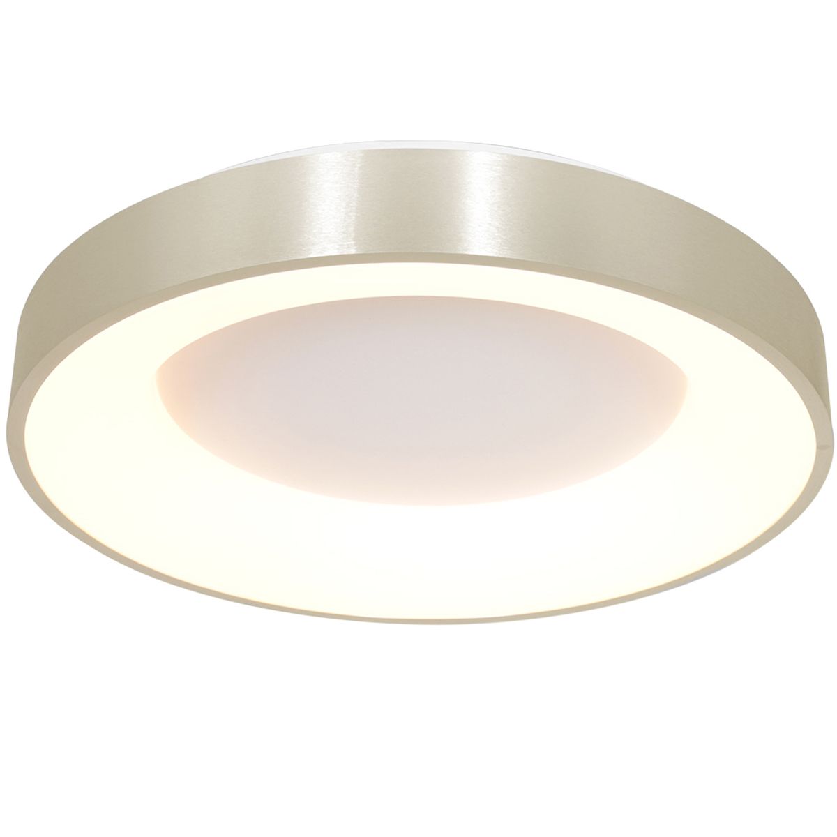 2563ZI Plafondlamp RInglede  Zilver Ã48cm