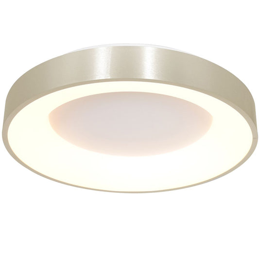 2563ZI Plafondlamp RInglede  Zilver Ã48cm