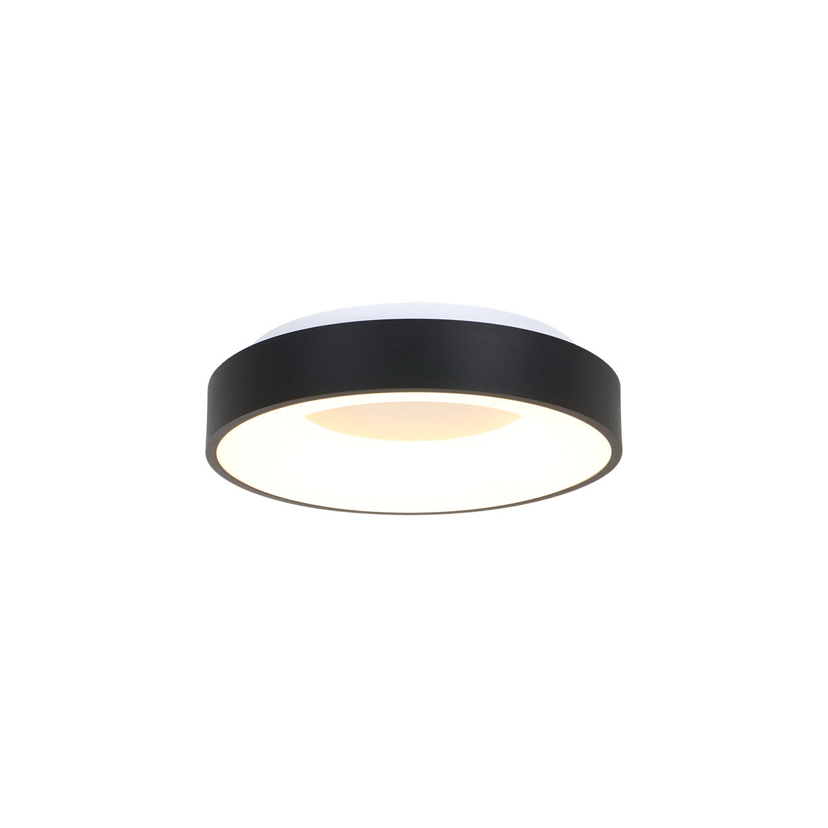 3086ZW Plafondlamp Ringlede  Zwart Ã30cm